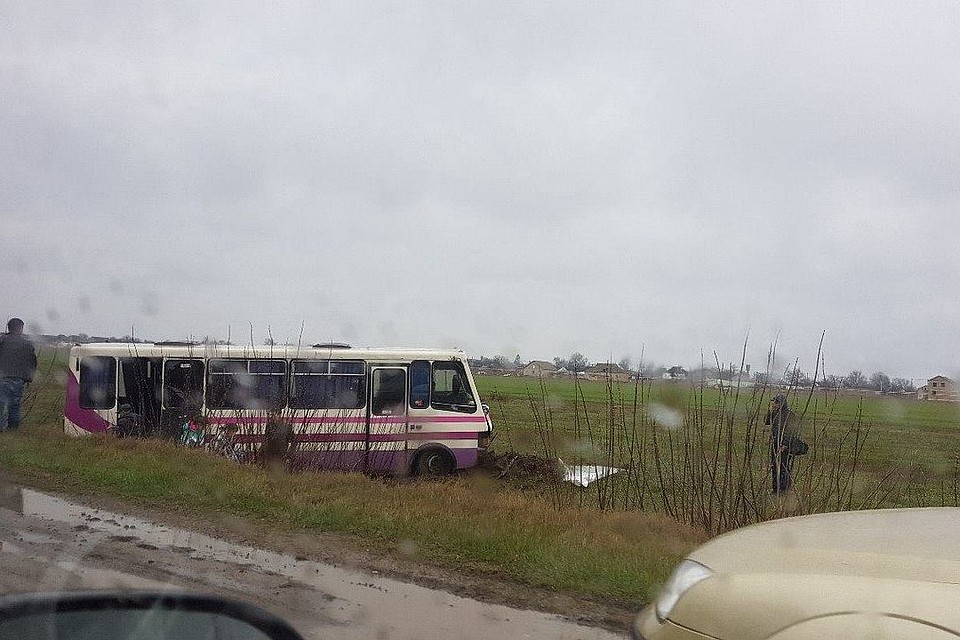 Фото: Татьяна Вилисова
