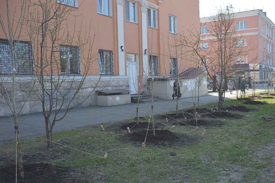 65 поликлиника зеленоград адрес