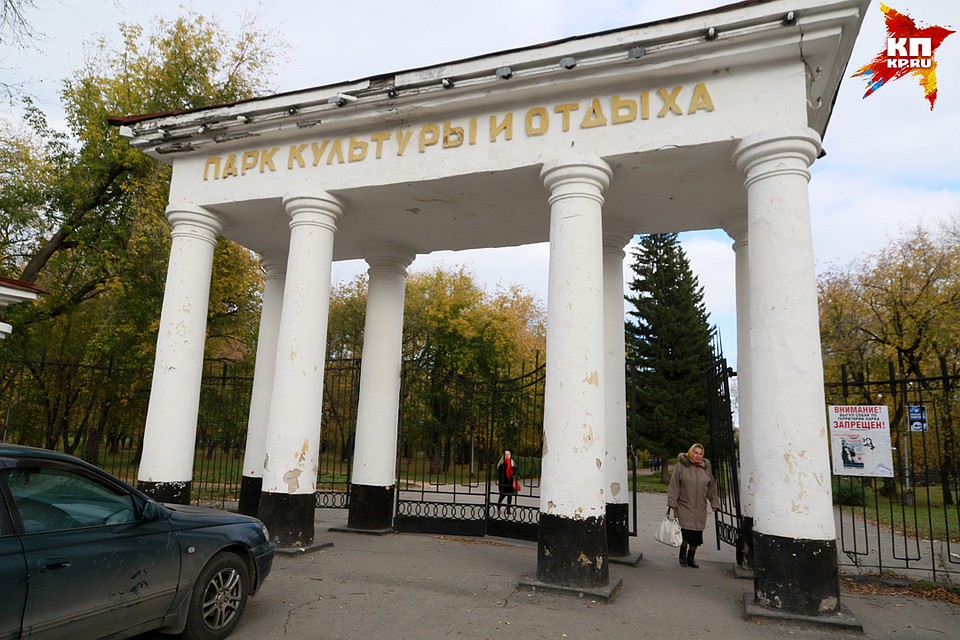 Зачем в барнаульском парке "Изумрудный" вырубают деревья Фото: Олег УКЛАДОВ