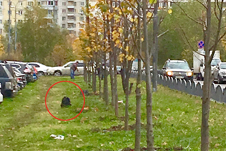 Привлекший внимание журналистки рюкзак.