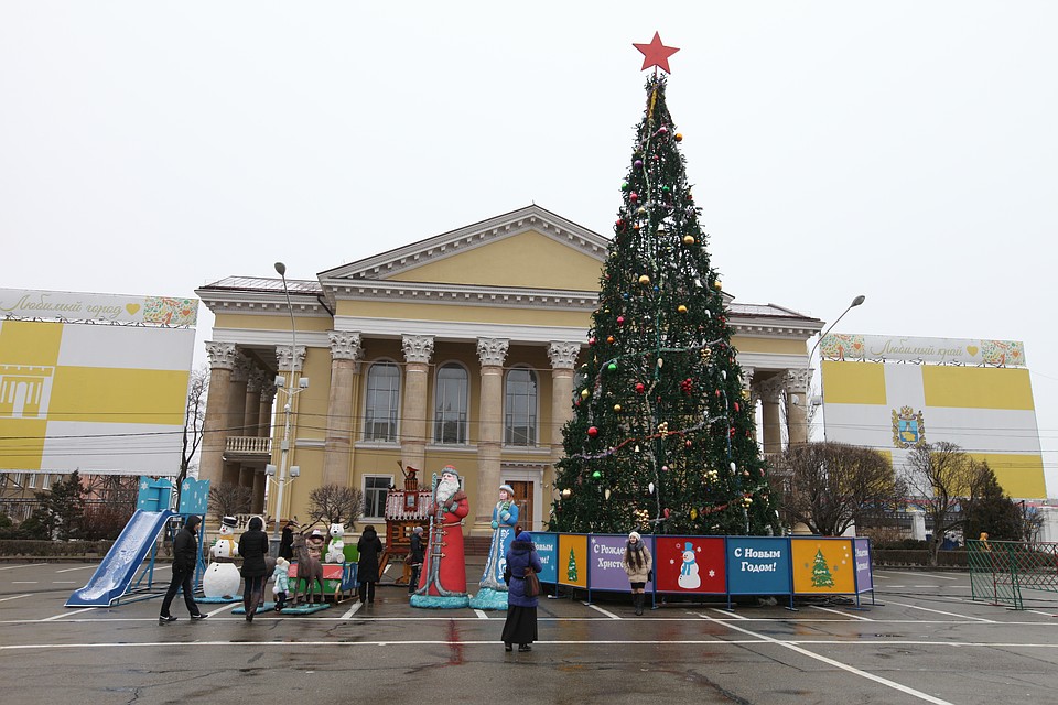 Краевая елка