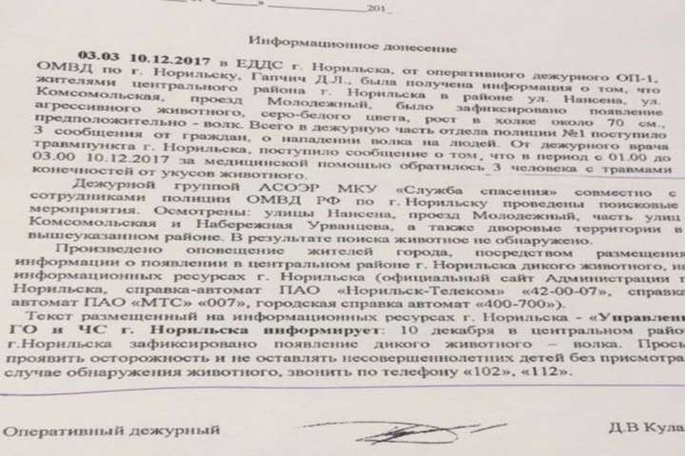Волка увидели в основном районе Норильска Волка увидели в основном районе Норильска
