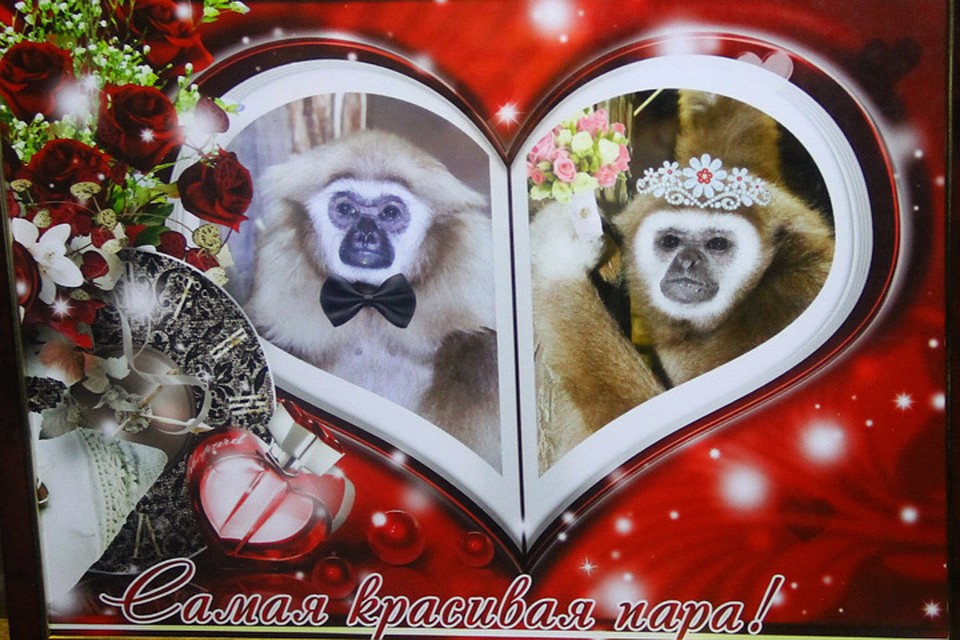 Самая красивая пара года. И не поспоришь!