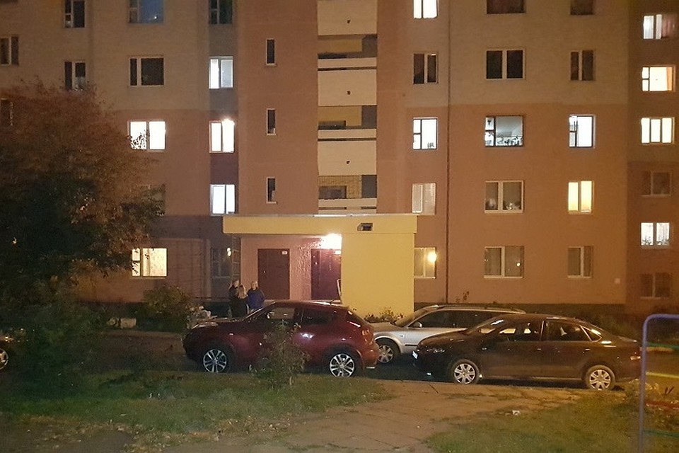 Избил собаку и выбросил в окно. Дело отправлено в суд Избил собаку и выбросил в окно. Дело отправлено в суд
