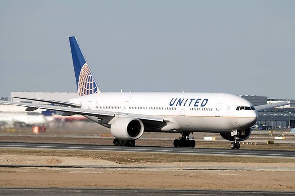 В United Airlines обещали выяснить обстоятельства смерти собаки