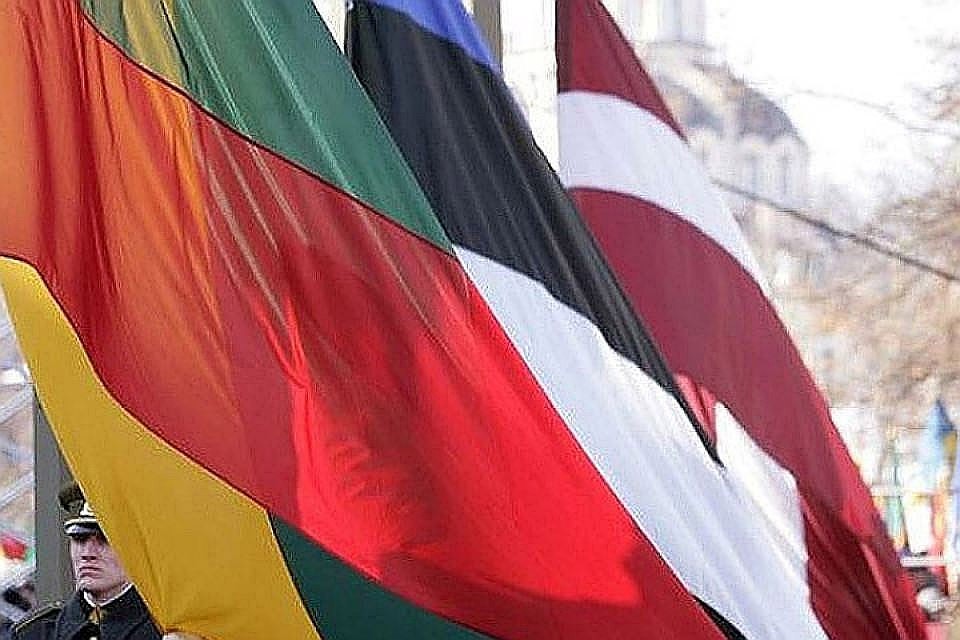 Страны Балтии будут просить США направить к ним больше своих военных и усилить ПВО в Прибалтике «для сдерживания России». Фото: с сайта i-g-t.org