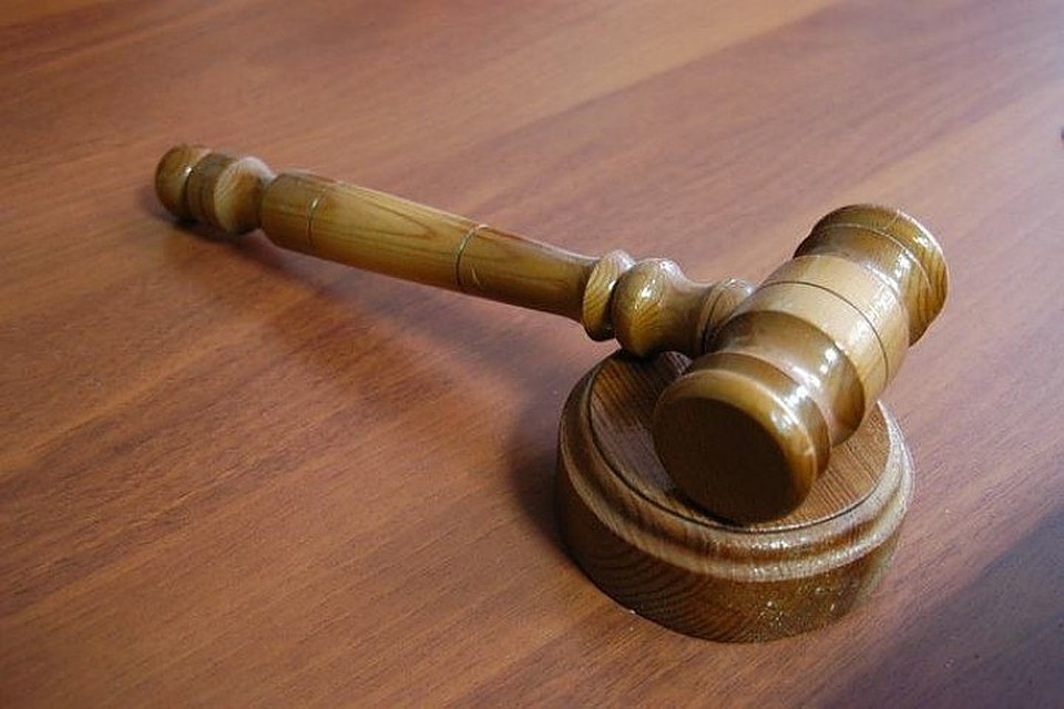 В Хабаровском крае осудят мужчин, срубивших более 600 хвойных деревьев