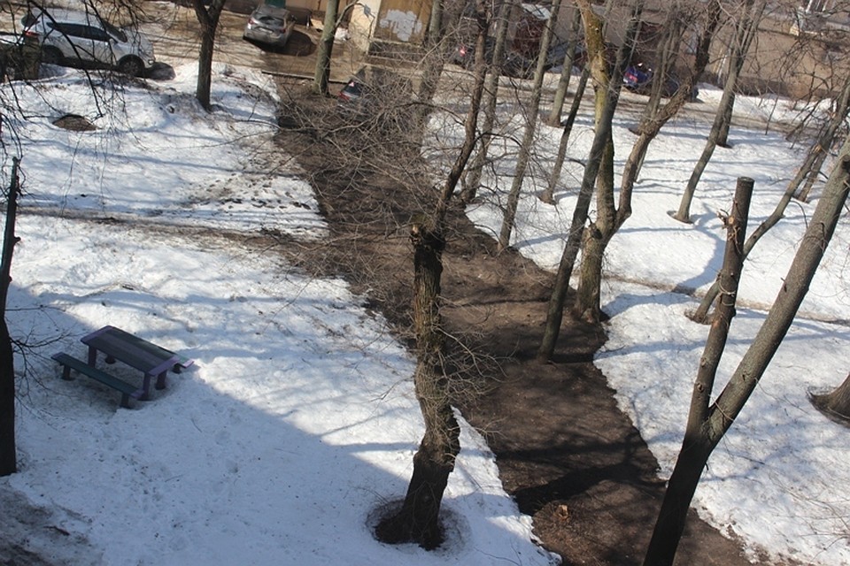 фото нашего читателя