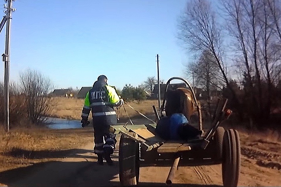 «Живой автопилот»: конь вез заснувшего мужика, гаишникам пришлось взять поводья в свои руки.