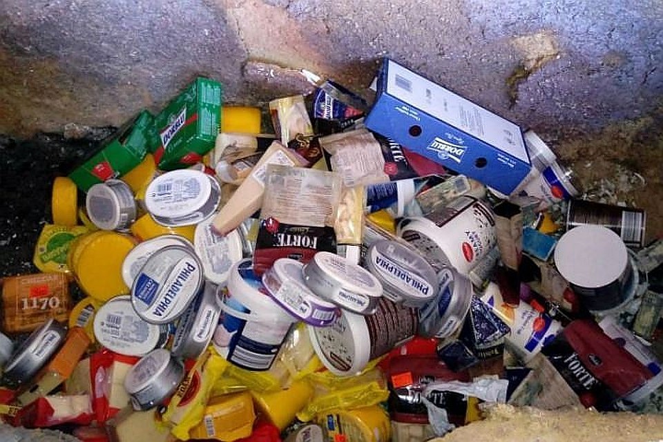 Фото: Из архива "КП"