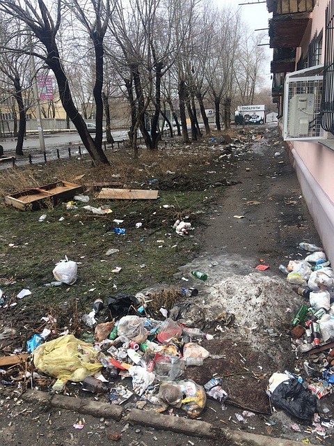 Те, кто помогут прибрать территорию, ждет насыщенная программа
