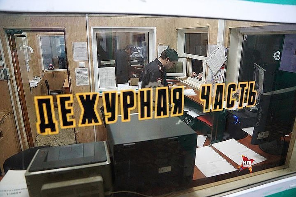 Жители Хабаровского края незаконно срубили деревьев на 2,5 миллиона рублей