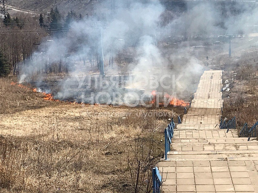 Фото: соцсети