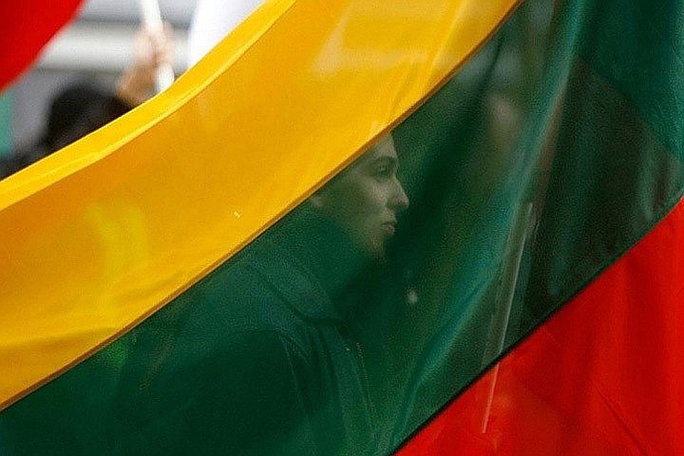 Иностранцы смогут учреждать в Литве партии. Фото: с сайта iPress.ua
