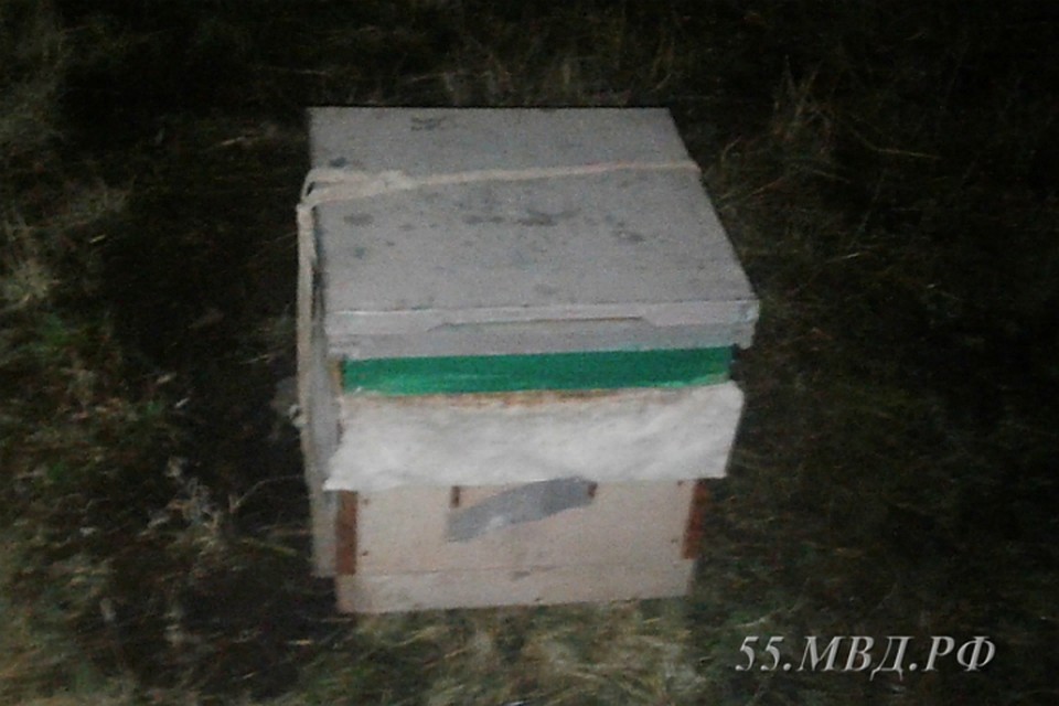 Фото: 55.мвд.рф
