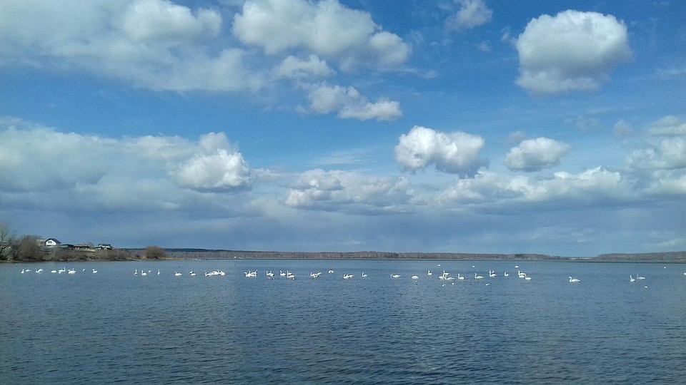 Фото: Анжелика Мулюкова.