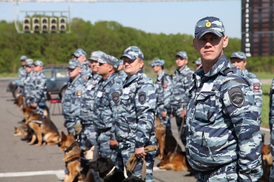 В Белгороде прошли соревнования специалистов-кинологов