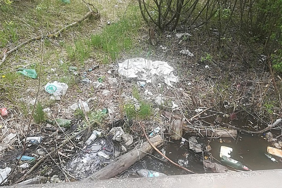 Микрорайон Мещерское озеро тонет в грязи