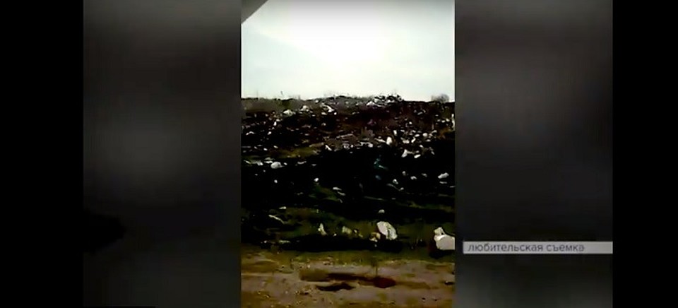 Фото: скриншот видео сюжета телеканала «Вся Уфа»