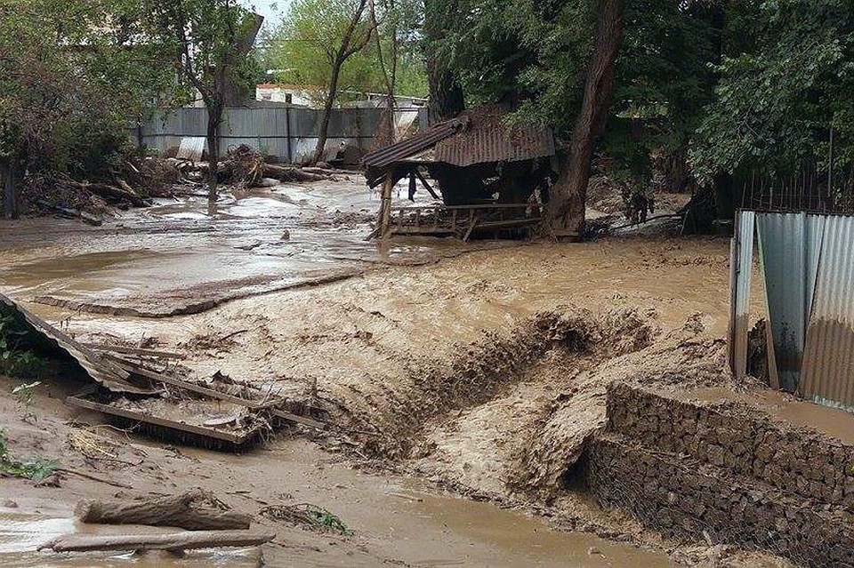 На юге Узбекистана пять человек погибли в результате схода селя. Фото: Анатолий Устиненко ТАСС