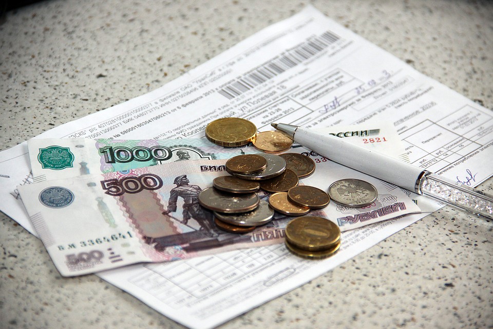 Согласно декларациям некоторые депутаты живут за чертой бедности