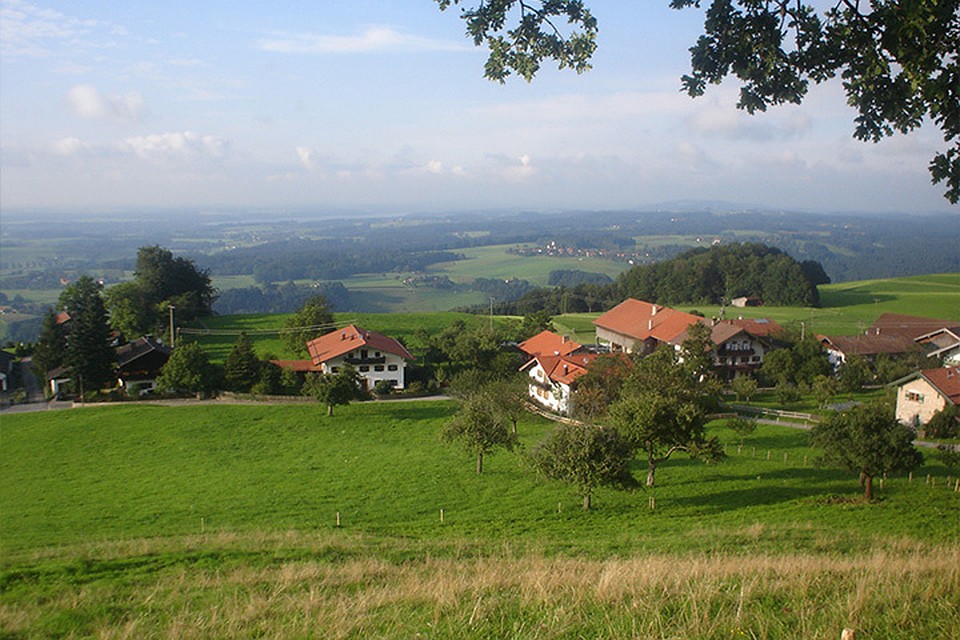Freeimages.com