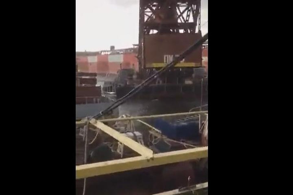 Фото: скриншот видео.