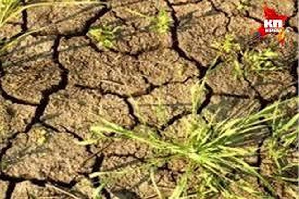 В реках и озерах станет гораздо меньше воды