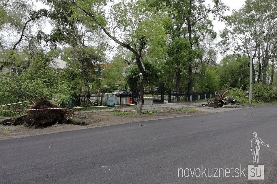 Фото: novokuznetsk.su