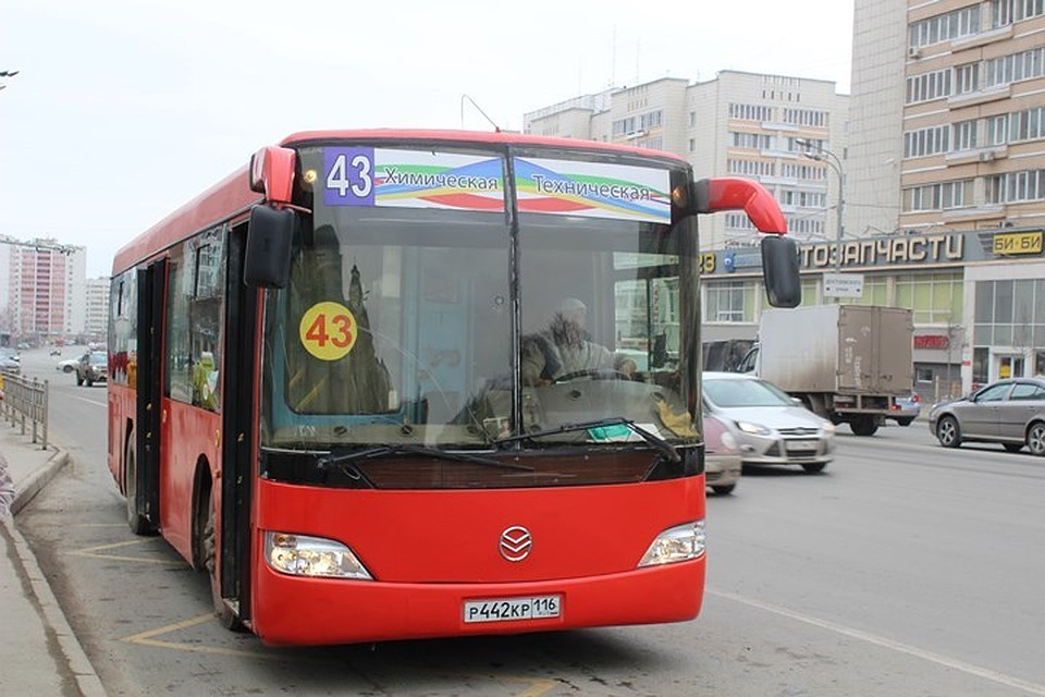 Фото: Алина НИЗАМОВА.