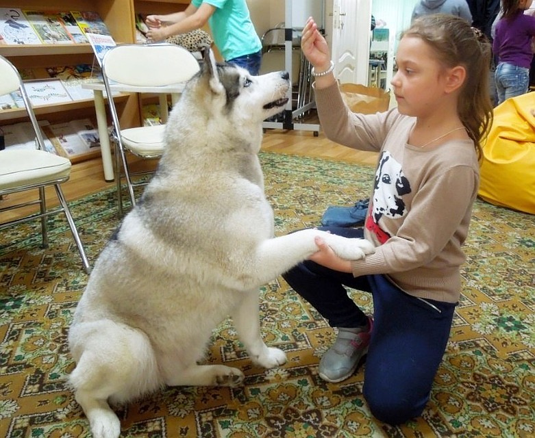 Ребята не только читали, но узнали об основах дрессуры. Фото: Ирина Ковалева