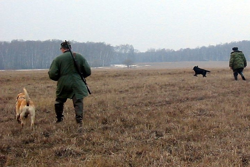 Выходить на охоту можно с 1 июля.