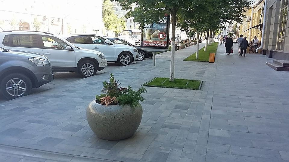 По мнению чиновников, мята и шалфей незаметны, но создают атмосферу спокойствия.