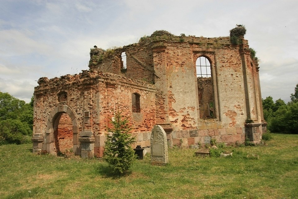 Кирху в Больших Бережках (Славский район) очень полюбили аисты.