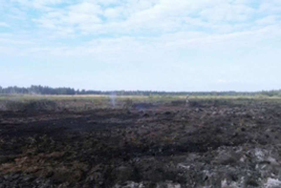 Фото: пресс-служба ГУ МЧС России по Брянской области.