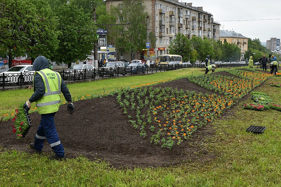 В Кирове разрабатывается 5-летняя программа озеленения. Фото: admkirov.ru