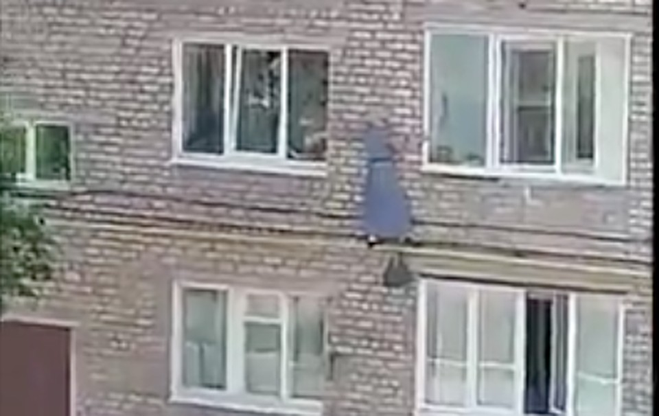 фото: соцсети
