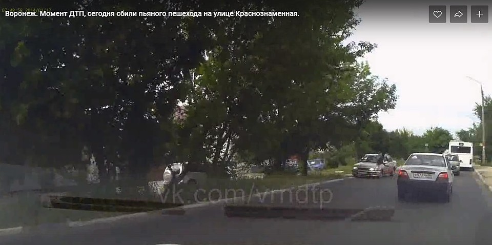 Фото: скриншот видеозаписи.