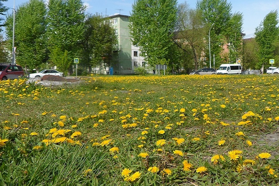 В Югре сегодня солнечно