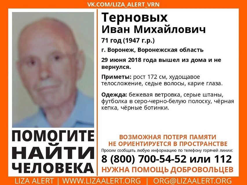 Фото: из группы поискового отряда «Лиза Алерт Воронеж».