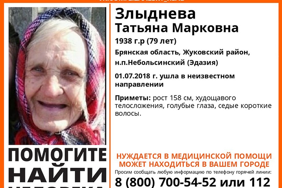 Фото: поисковый отряд "Лиза Алерт Брянск".