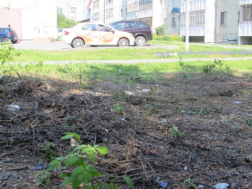 Фото пресс-службы администрации города Тюмени