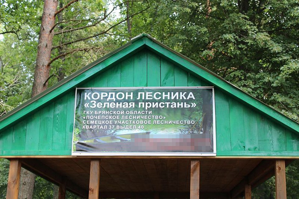 Фото: Управление лесами Брянской области.