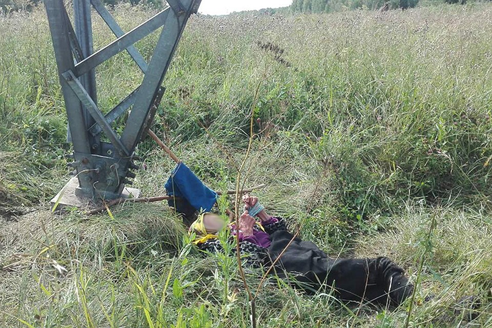 Престарелой женщине стало плохо в лесу, и она четыре дня пролежала под опорой ЛЭП. Фото: МЧС.
