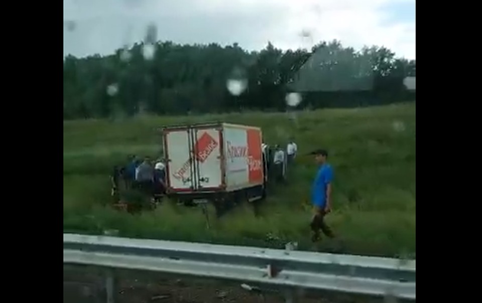 Фото: скриншот видео