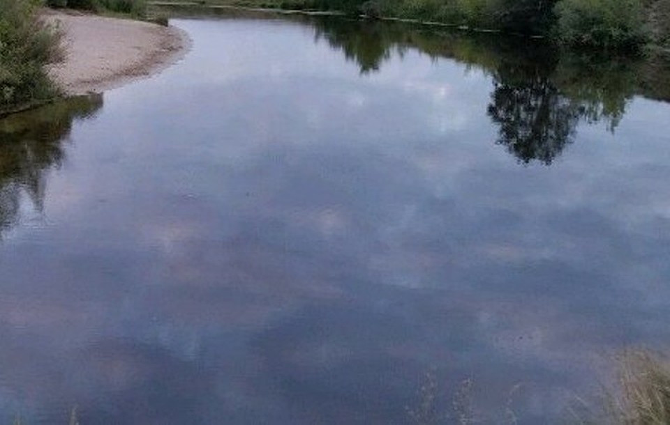 Все происшествия зарегистрированы на необорудованных местах отдыха