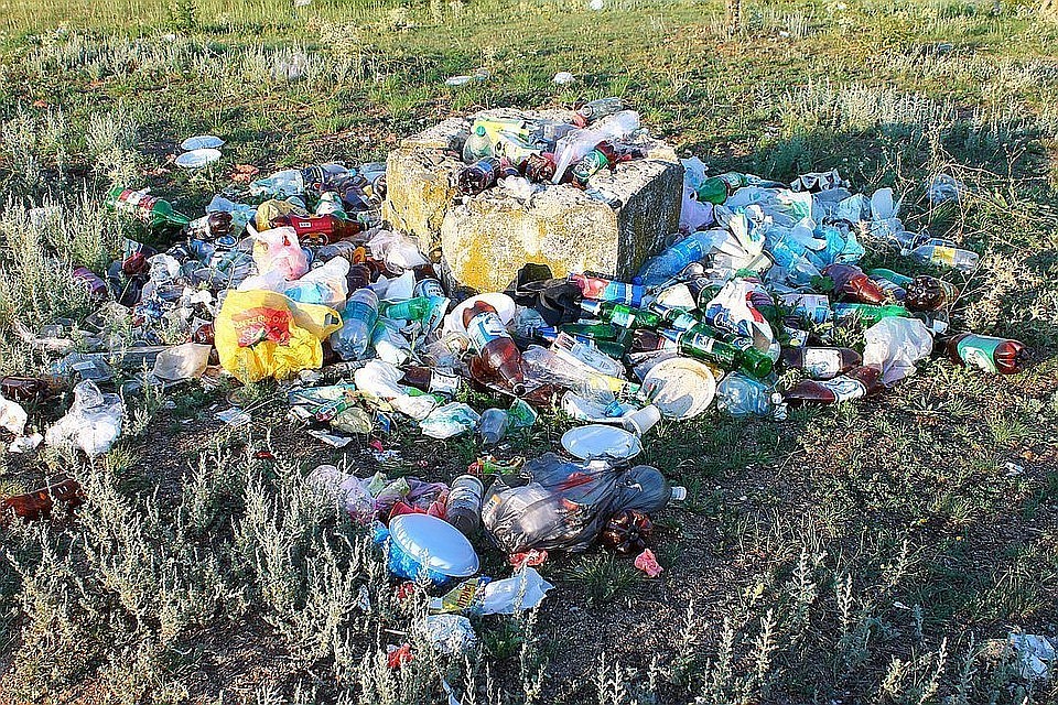 Симферопольцев просят оставлять советы по уборке мусора.