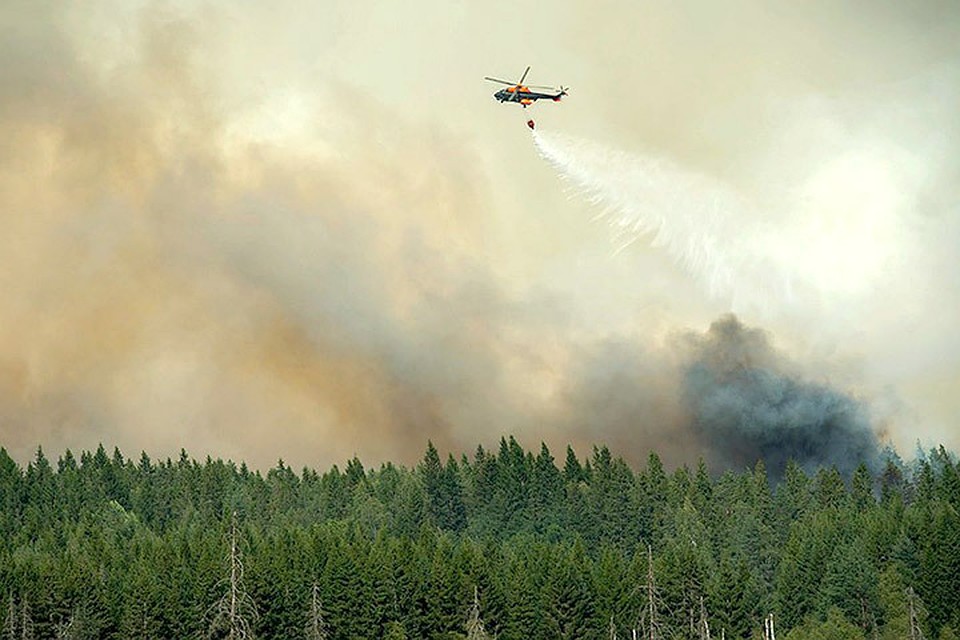 Лесные пожары в Швеции продолжаются с начала лета. Фото: Fredrik Sandberg / EPA