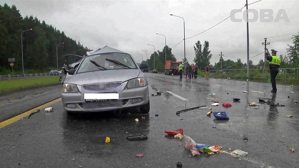 Фото: служба спасения "СОВА"