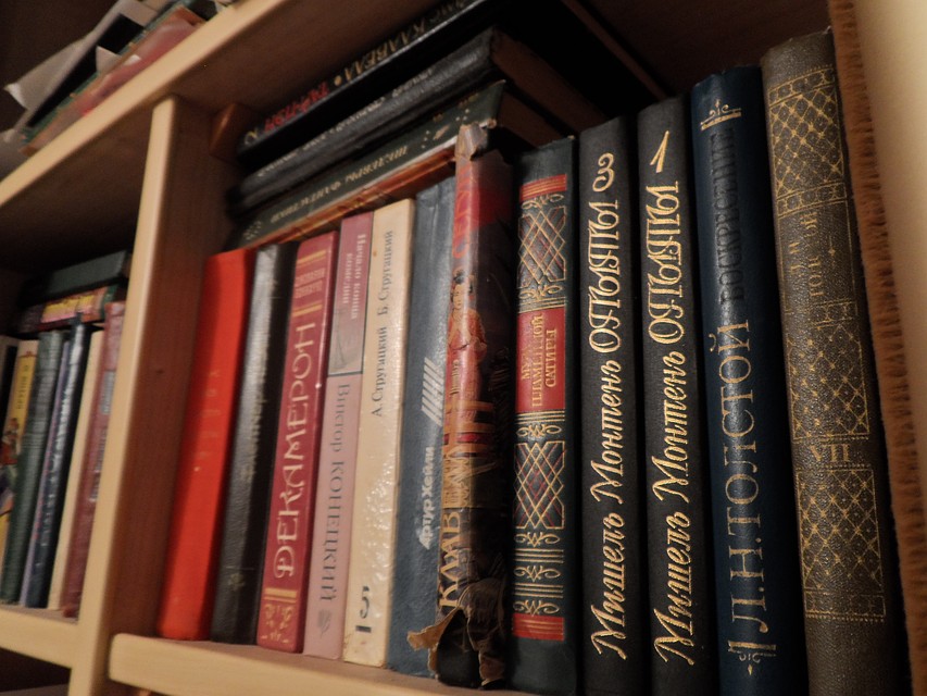 В Тобольске создают книжный клуб